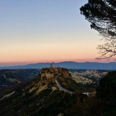 Podere Porcino Civitella dʼAgliano Екстериор снимка