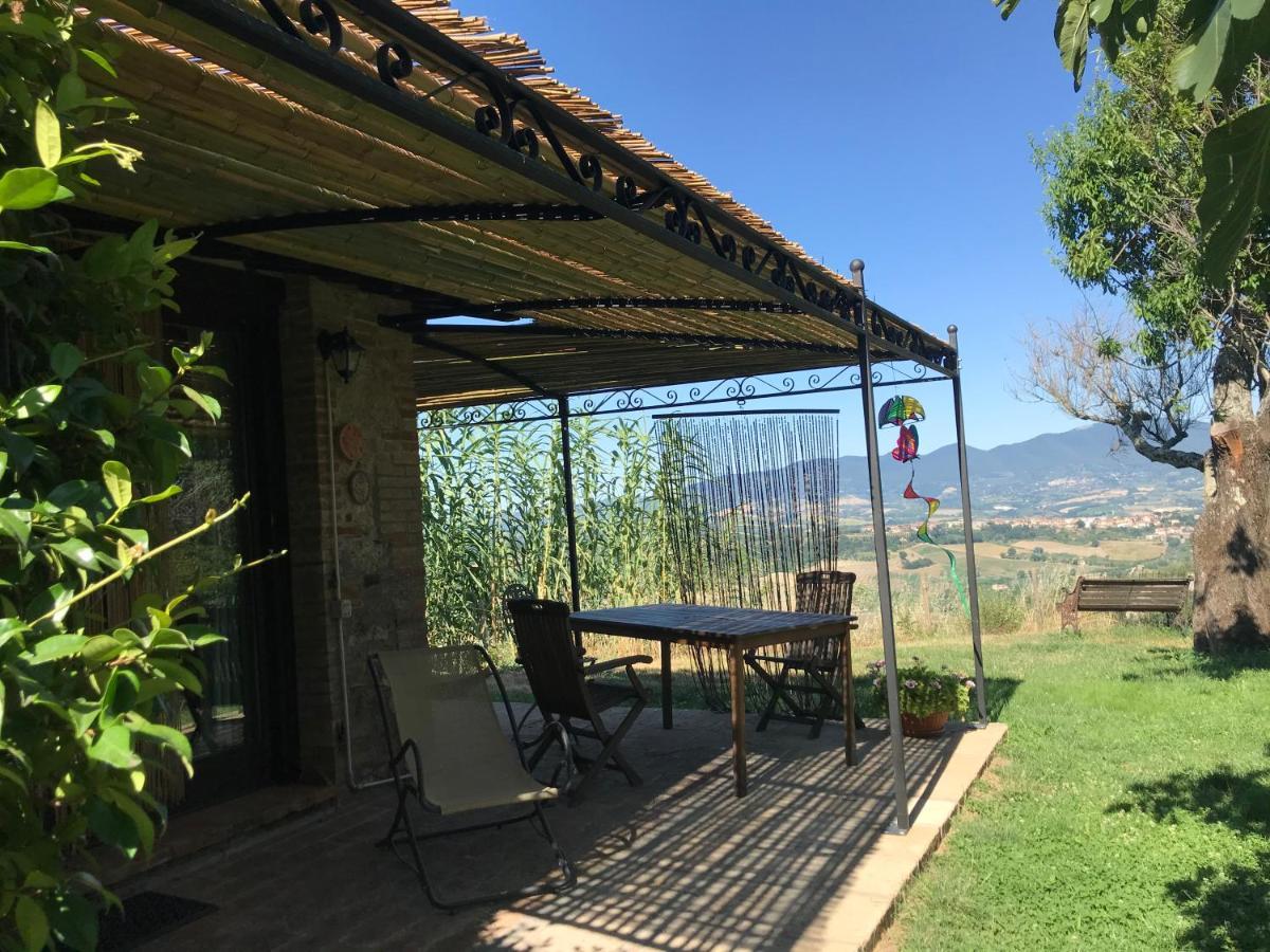 Podere Porcino Civitella dʼAgliano Екстериор снимка