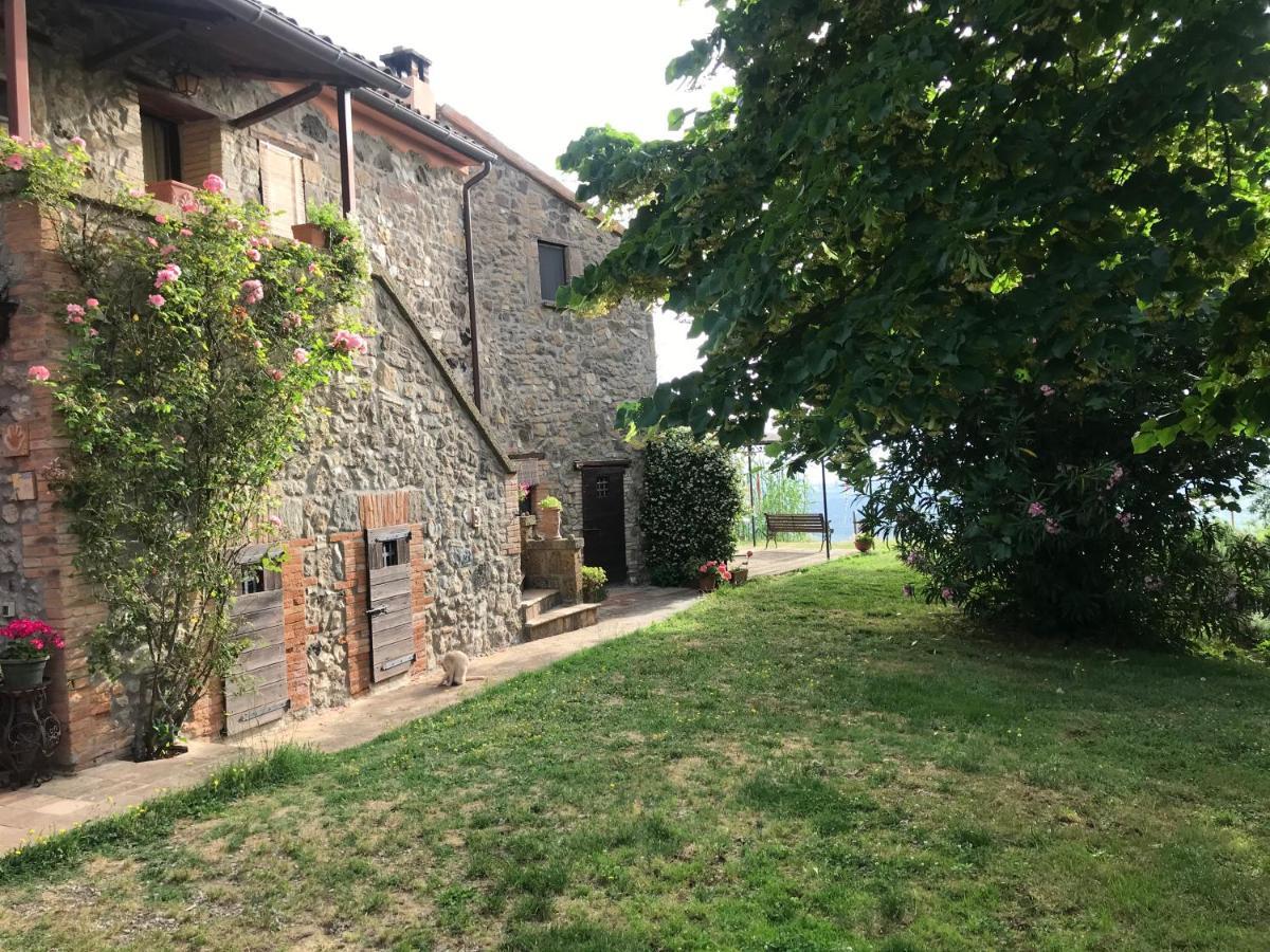 Podere Porcino Civitella dʼAgliano Екстериор снимка