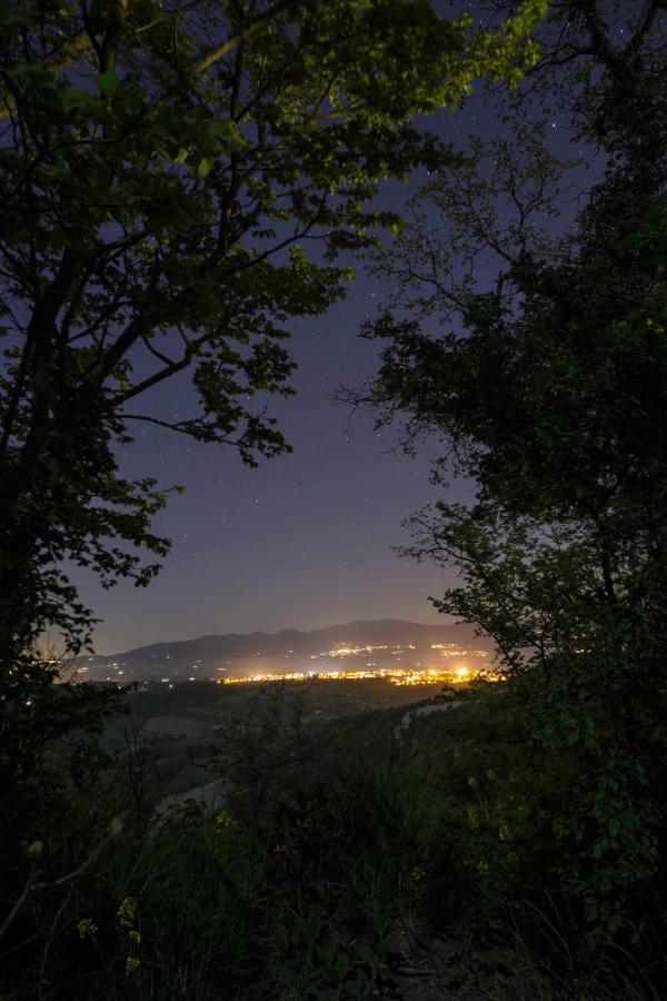 Podere Porcino Civitella dʼAgliano Екстериор снимка