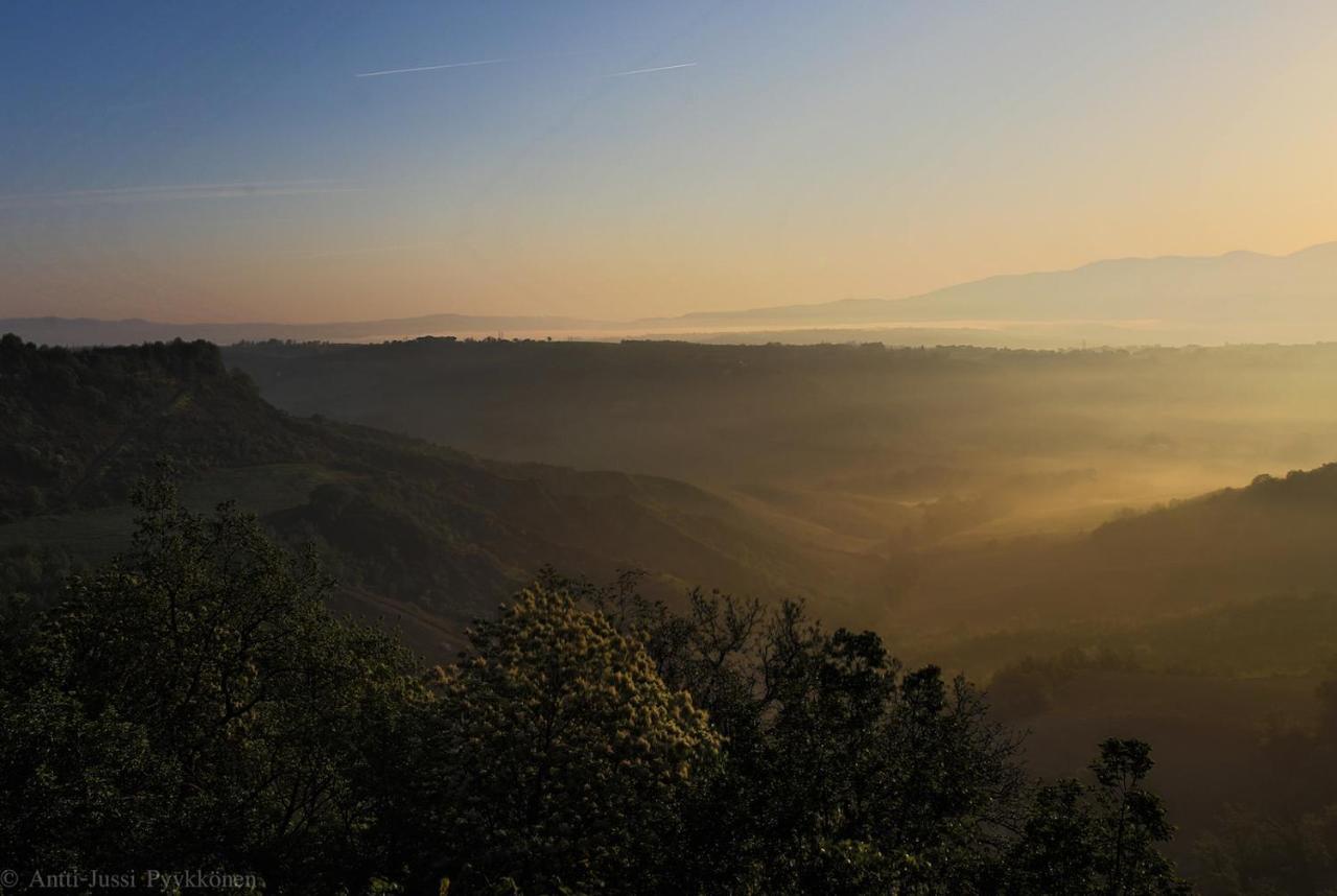 Podere Porcino Civitella dʼAgliano Екстериор снимка