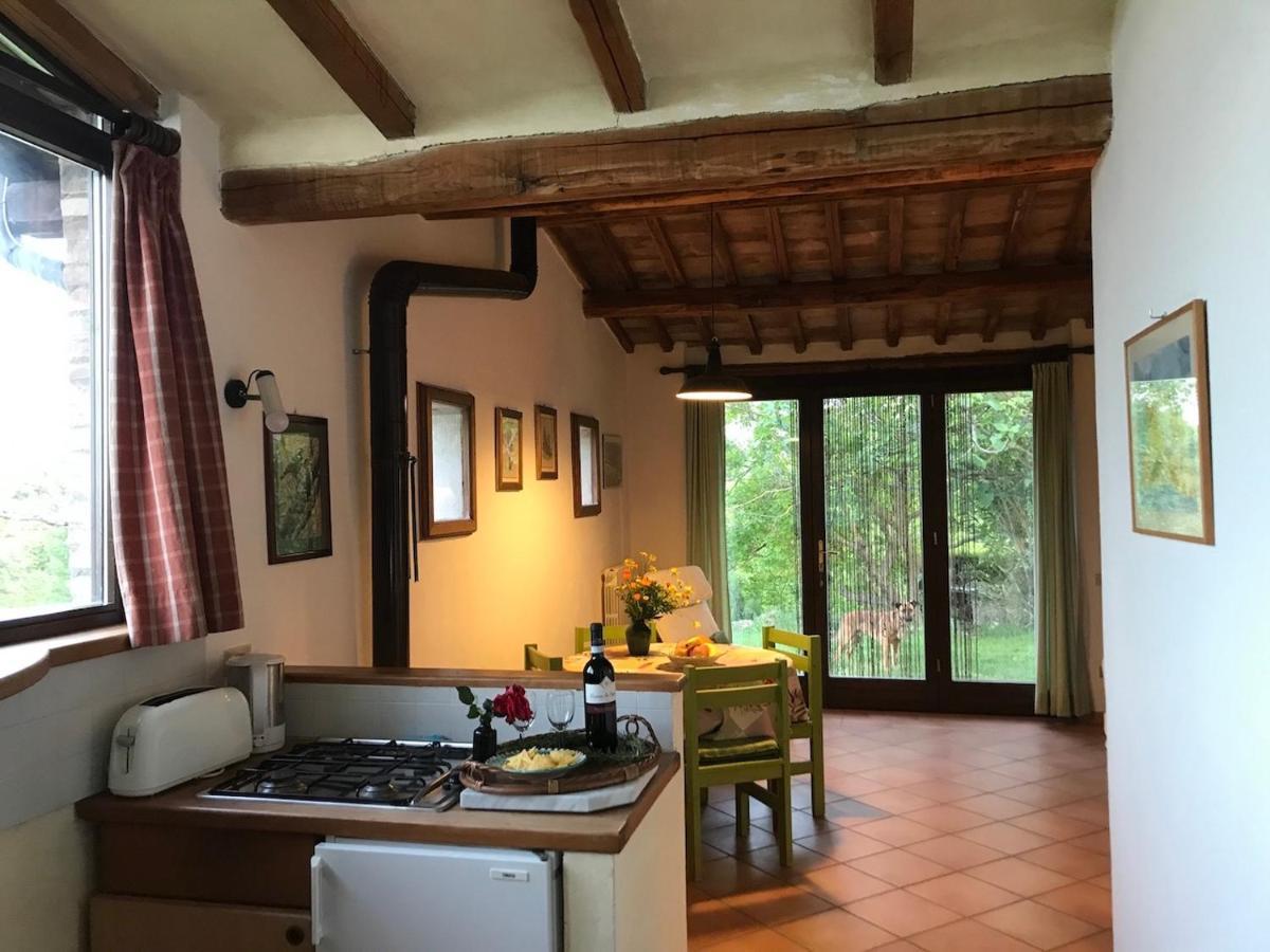 Podere Porcino Civitella dʼAgliano Екстериор снимка