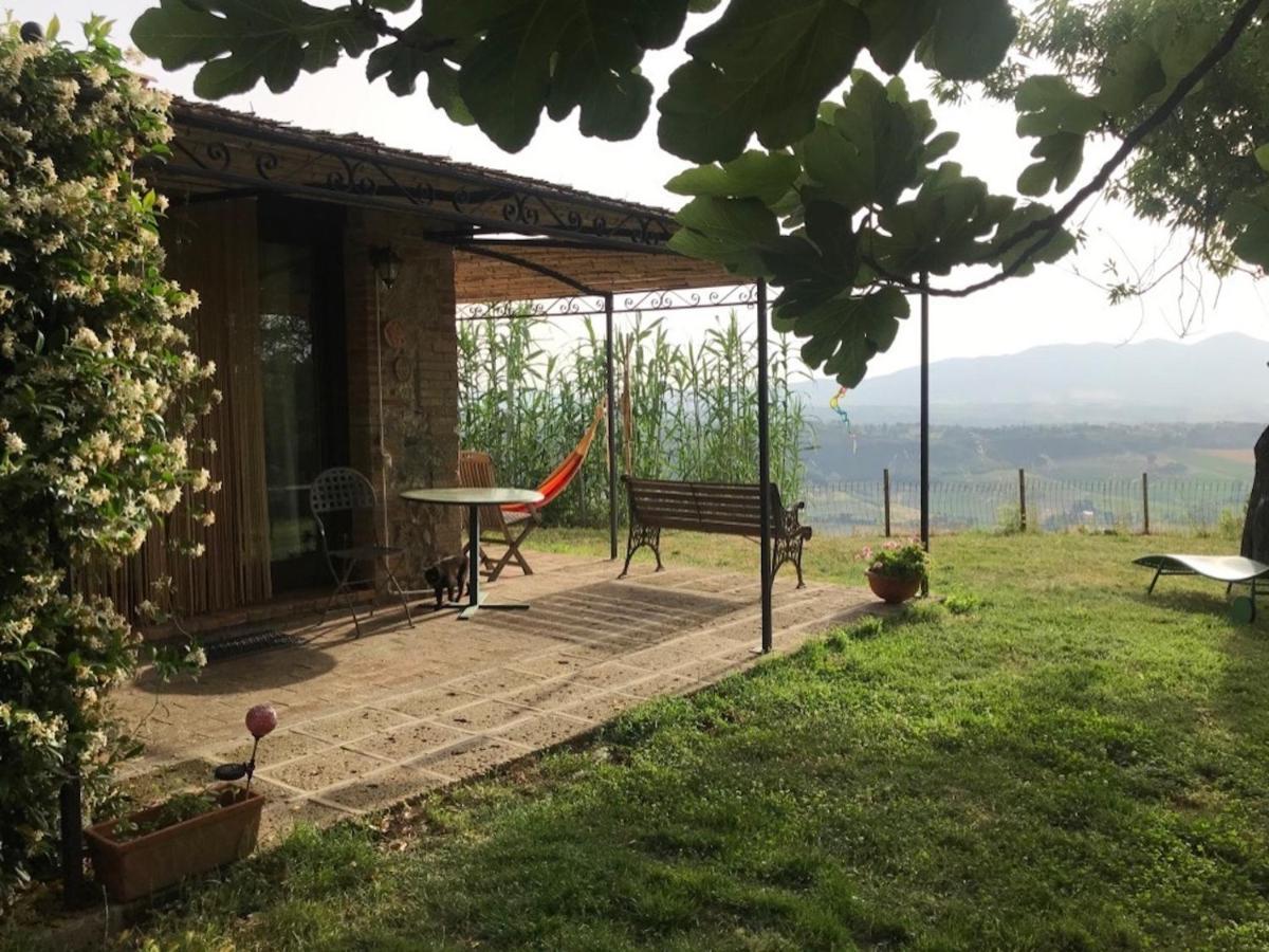 Podere Porcino Civitella dʼAgliano Екстериор снимка