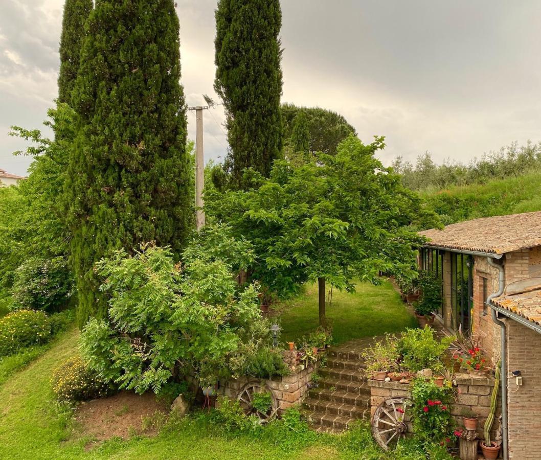 Podere Porcino Civitella dʼAgliano Екстериор снимка