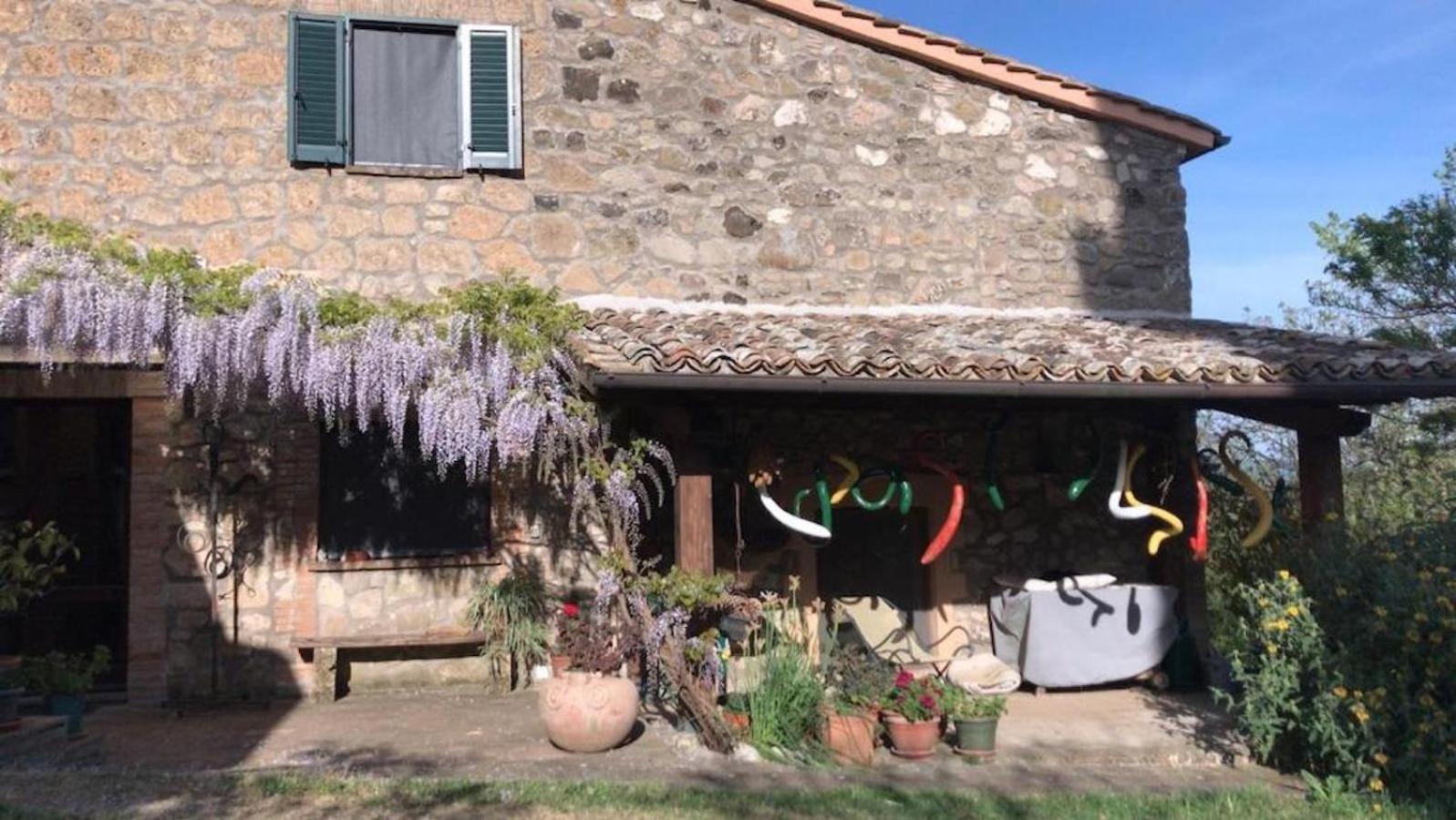 Podere Porcino Civitella dʼAgliano Екстериор снимка