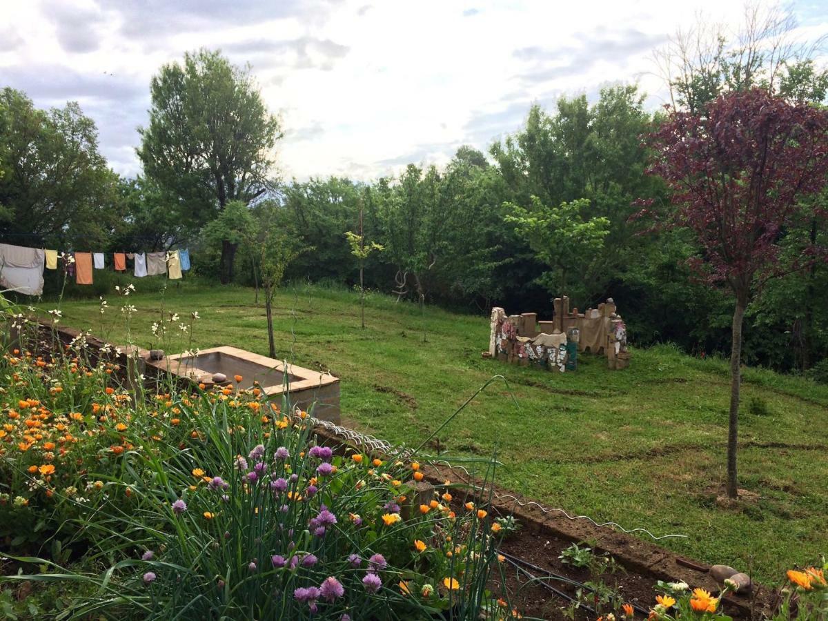 Podere Porcino Civitella dʼAgliano Екстериор снимка