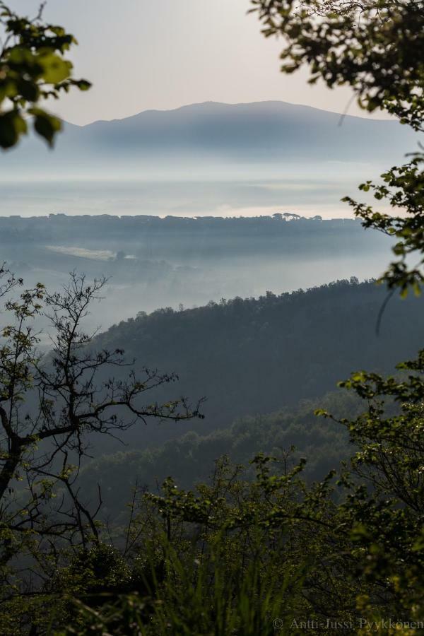 Podere Porcino Civitella dʼAgliano Екстериор снимка