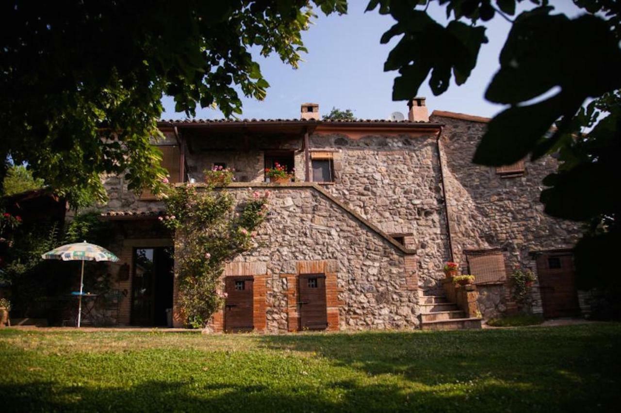Podere Porcino Civitella dʼAgliano Екстериор снимка