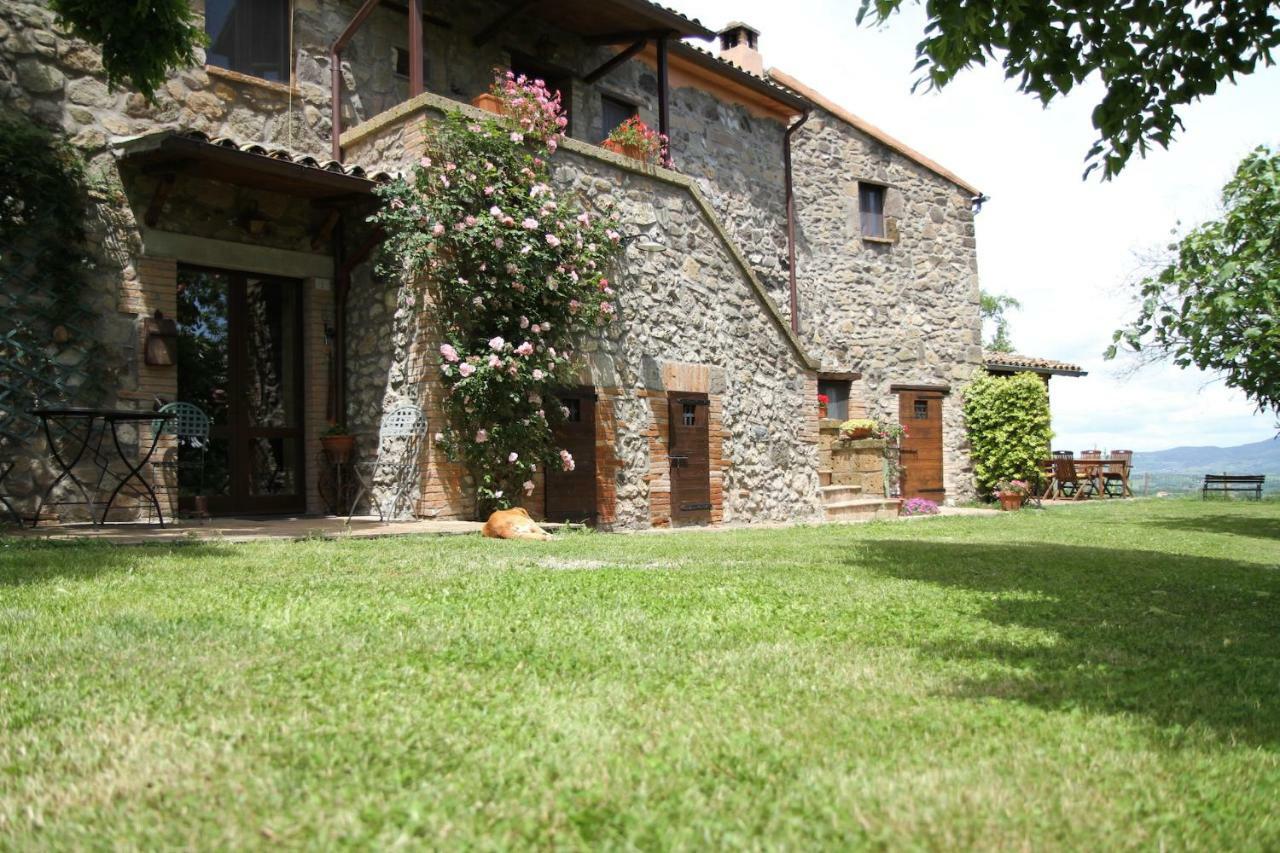 Podere Porcino Civitella dʼAgliano Екстериор снимка