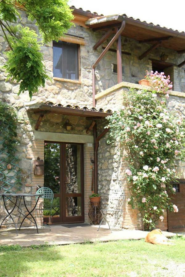 Podere Porcino Civitella dʼAgliano Екстериор снимка