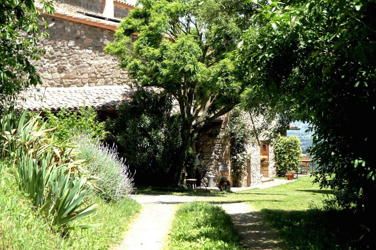 Podere Porcino Civitella dʼAgliano Екстериор снимка