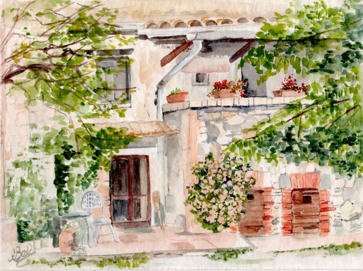 Podere Porcino Civitella dʼAgliano Екстериор снимка
