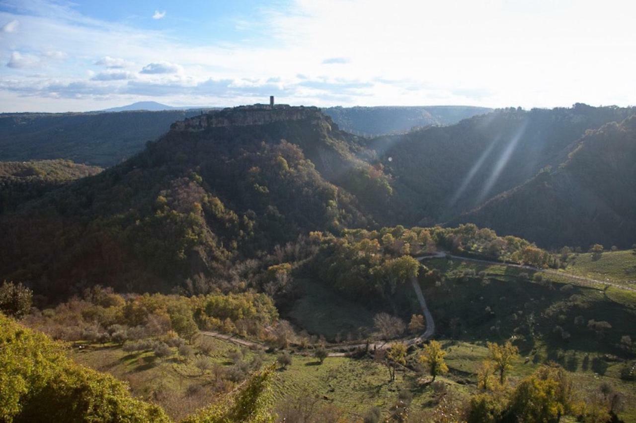 Podere Porcino Civitella dʼAgliano Екстериор снимка