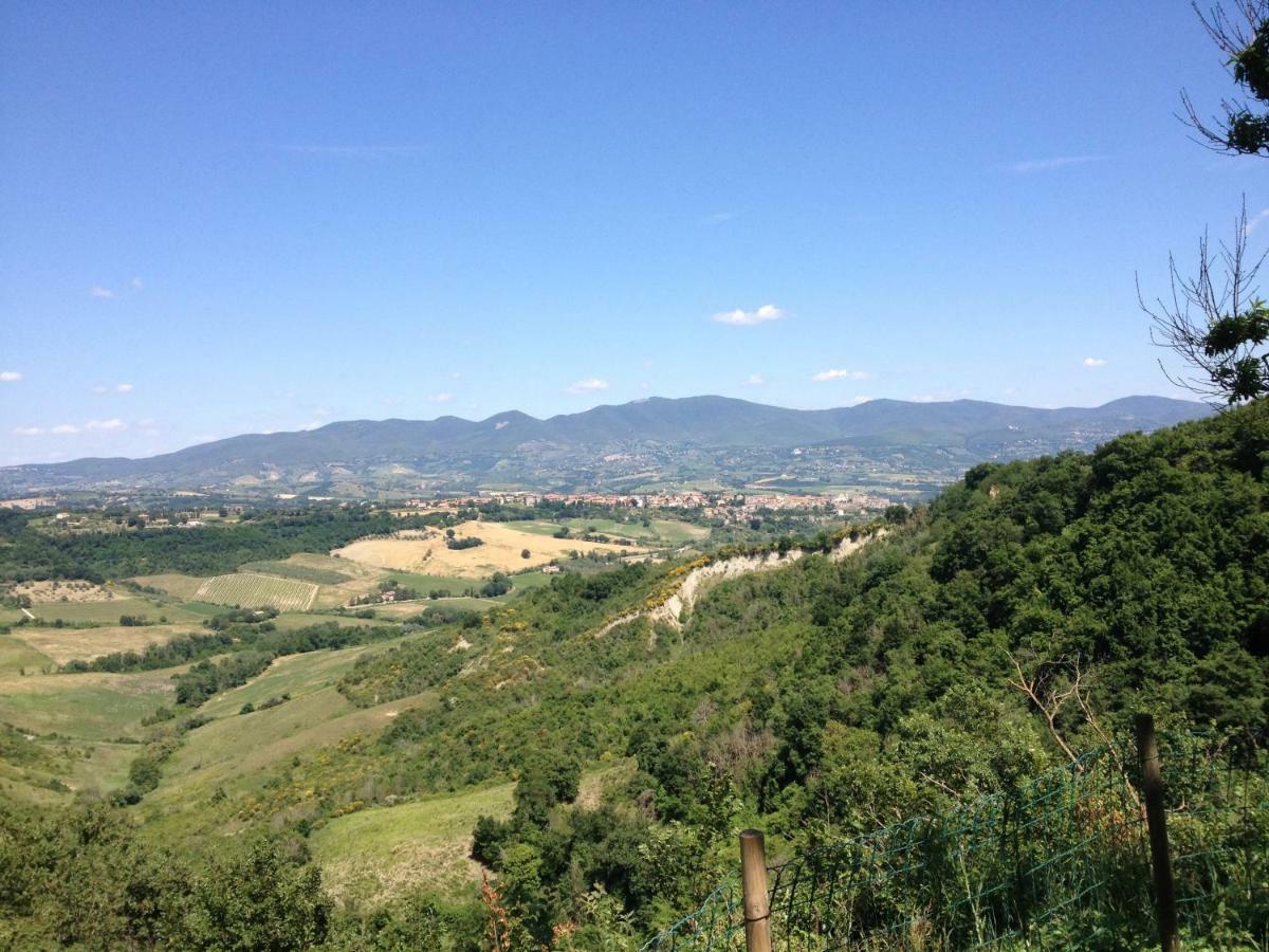 Podere Porcino Civitella dʼAgliano Екстериор снимка