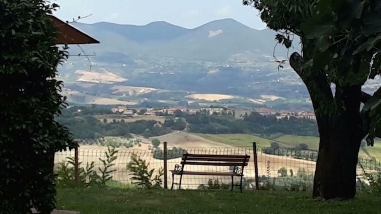 Podere Porcino Civitella dʼAgliano Екстериор снимка