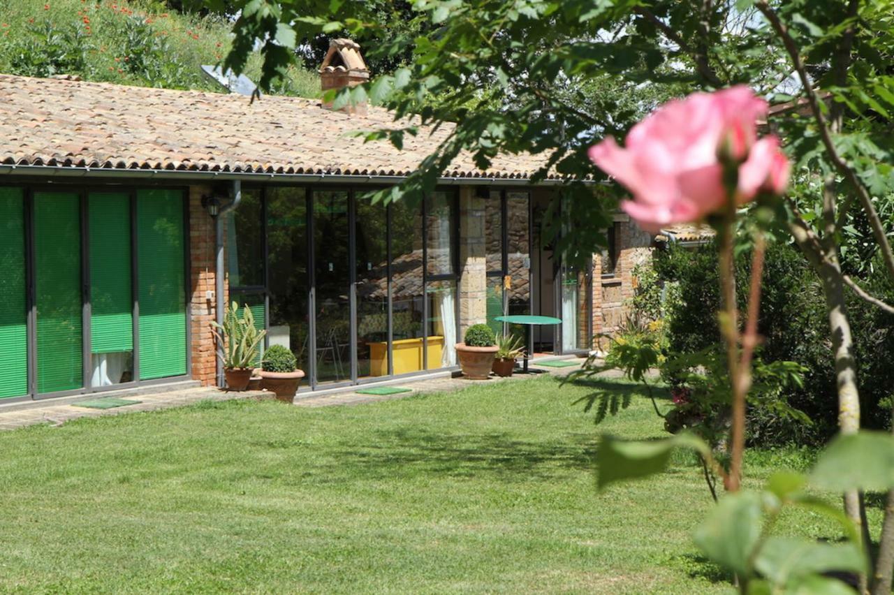 Podere Porcino Civitella dʼAgliano Екстериор снимка