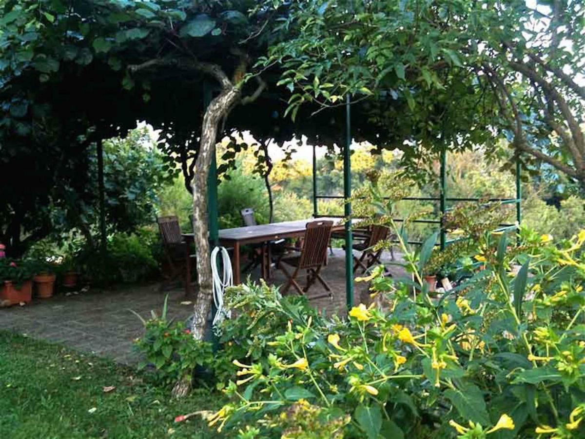 Podere Porcino Civitella dʼAgliano Екстериор снимка